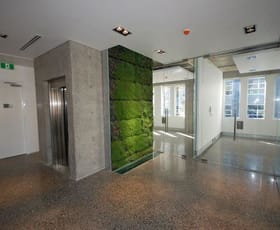 Offices commercial property leased at 201/441-449 Elizabeth Street Street Surry Hills NSW 2010