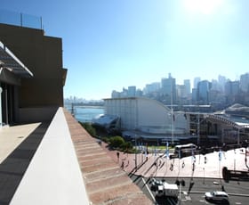 Offices commercial property leased at Pyrmont NSW 2009