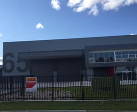 Showrooms / Bulky Goods commercial property leased at 1/65 Anderson Road Smeaton Grange NSW 2567
