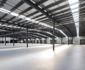 Showrooms / Bulky Goods commercial property leased at Mascot NSW 2020