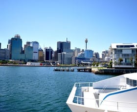 Offices commercial property leased at 87/26-32 Jones Bay Wharf Pyrmont NSW 2009