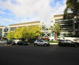 Offices commercial property leased at Brookvale NSW 2100