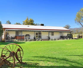 Rural / Farming commercial property sold at 193 Ormans lane Tamworth NSW 2340
