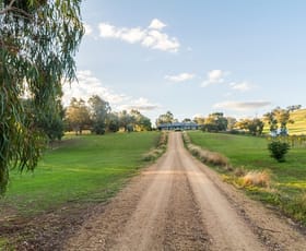 Rural / Farming commercial property sold at 188 Paytens Lane Cowra NSW 2794
