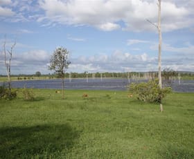 Rural / Farming commercial property sold at Lot 12 Mittelheusers Road Wallaville QLD 4671