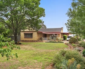 Rural / Farming commercial property sold at 689 Bendigo Pyramid Road Woodvale VIC 3556