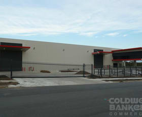 Factory, Warehouse & Industrial commercial property leased at 25 (Lot 7) Dixon Street Yatala QLD 4207