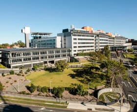 Offices commercial property leased at Suite  17/250 Ipswich Road Woolloongabba QLD 4102