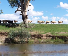Rural / Farming commercial property sold at 171 Lower Somerton Road Attunga NSW 2345