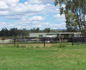 Rural / Farming commercial property sold at 171 Lower Somerton Road Attunga NSW 2345