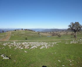 Rural / Farming commercial property sold at Lot 5 Clements Road Woodstock NSW 2793