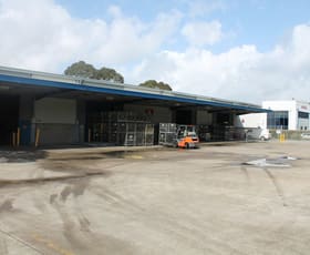 Factory, Warehouse & Industrial commercial property leased at 84 Burrows Road Alexandria NSW 2015