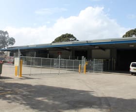 Factory, Warehouse & Industrial commercial property leased at 84 Burrows Road Alexandria NSW 2015