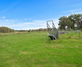 Rural / Farming commercial property leased at 675-701 Kurmond Road Freemans Reach NSW 2756