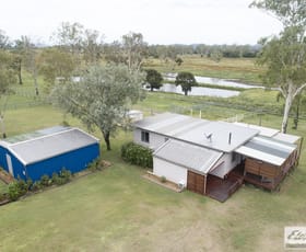 Rural / Farming commercial property for lease at Prenzlau QLD 4311