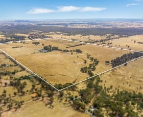 Rural / Farming commercial property leased at 215 Nevinson Road Shelbourne VIC 3515
