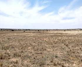 Rural / Farming commercial property for lease at Lot 70 Eyre Highway Coorabie SA 5690