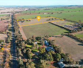 Rural / Farming commercial property for lease at 1509 Olympic Highway Brucedale NSW 2650