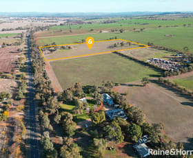 Rural / Farming commercial property leased at 1509 Olympic Highway Brucedale NSW 2650