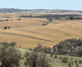 Rural / Farming commercial property leased at 663 Marola Road Brinkworth SA 5464