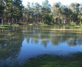 Rural / Farming commercial property sold at 2095 Oallen Ford Road Windellama NSW 2580