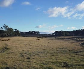 Rural / Farming commercial property sold at Lot 2 Sandy Point Road Windellama NSW 2580
