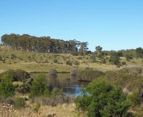 Rural / Farming commercial property sold at 703 Sandy Point Road Tarago NSW 2580