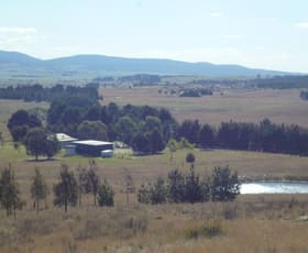 Rural / Farming commercial property sold at 160 Bundong Lane Lake Bathurst NSW 2580