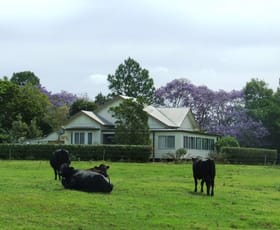 Rural / Farming commercial property sold at Rawdon Island NSW 2446