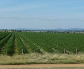 Rural / Farming commercial property sold at Billimari NSW 2804 Rural / Farming commercial property sold at Billimari NSW 2804