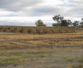 Rural / Farming commercial property sold at O'connell NSW 2795
