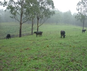 Rural / Farming commercial property sold at 1/1677 Thunderbolts Way Rookhurst NSW 2422