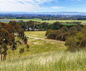 Rural / Farming commercial property sold at 41 Shelford Road Inverleigh VIC 3321