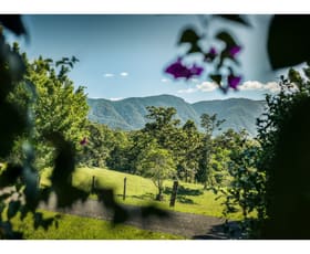 Rural / Farming commercial property for sale at 930 promised land Road Bellingen NSW 2454