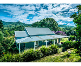 Rural / Farming commercial property sold at 1537 kalang Road Bellingen NSW 2454