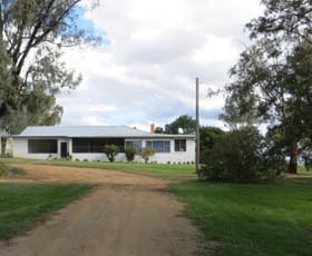Rural / Farming commercial property sold at Canowindra NSW 2804