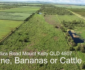 Rural / Farming commercial property for sale at 89 Elisa Road Mount Kelly QLD 4807