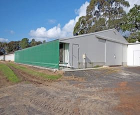 Rural / Farming commercial property for sale at 1692 Wisemans Ferry Road Central Mangrove NSW 2250