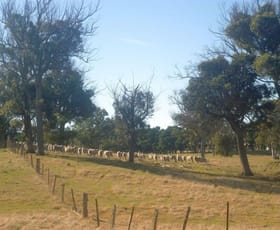 Rural / Farming commercial property sold at 49 Coolabah Road Bungonia NSW 2580