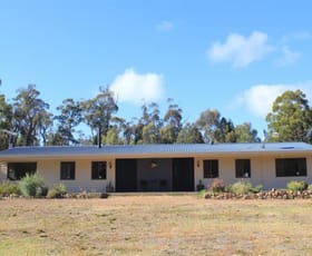 Rural / Farming commercial property sold at 883 Sandy Point Road Tarago NSW 2580