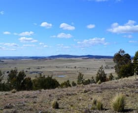 Rural / Farming commercial property sold at 114 Roseview Road Tarago NSW 2580