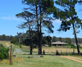 Rural / Farming commercial property sold at 1181 Oallen Road Oallen NSW 2622