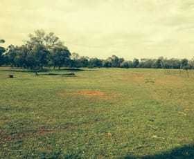 Rural / Farming commercial property sold at Cobar NSW 2835 Rural / Farming commercial property sold at Cobar NSW 2835