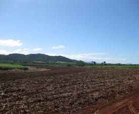Rural / Farming commercial property sold at 2098 Innisfail-Japoon Road Bombeeta QLD 4871