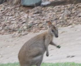 Rural / Farming commercial property sold at 15 Cordingley Road Alligator Creek QLD 4816