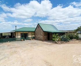 Rural / Farming commercial property sold at 529 Tinpot Road Woodchester SA 5255
