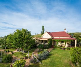 Rural / Farming commercial property sold at 13594 Princes Highway Bega NSW 2550