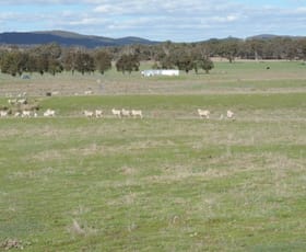 Rural / Farming commercial property sold at 197 Kangaloolah Road Binda NSW 2583