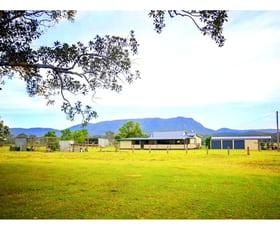 Rural / Farming commercial property sold at 190 Hewens Road Beechwood NSW 2446