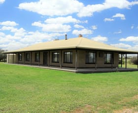 Rural / Farming commercial property sold at 554 Reapers Road Henty NSW 2658